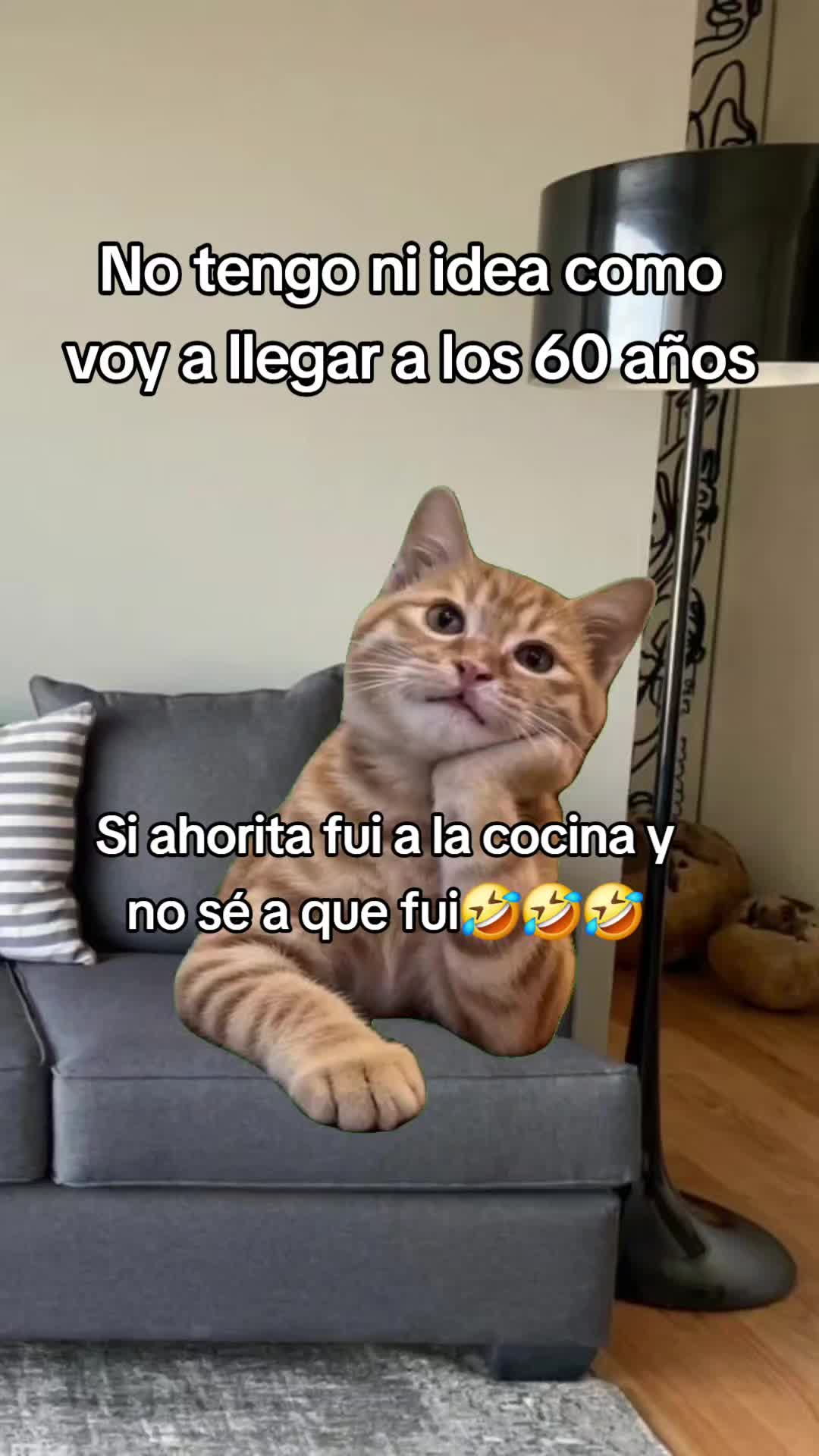 @R&aacute;pido💫&🌻Furioso🧝&zwj;♀️