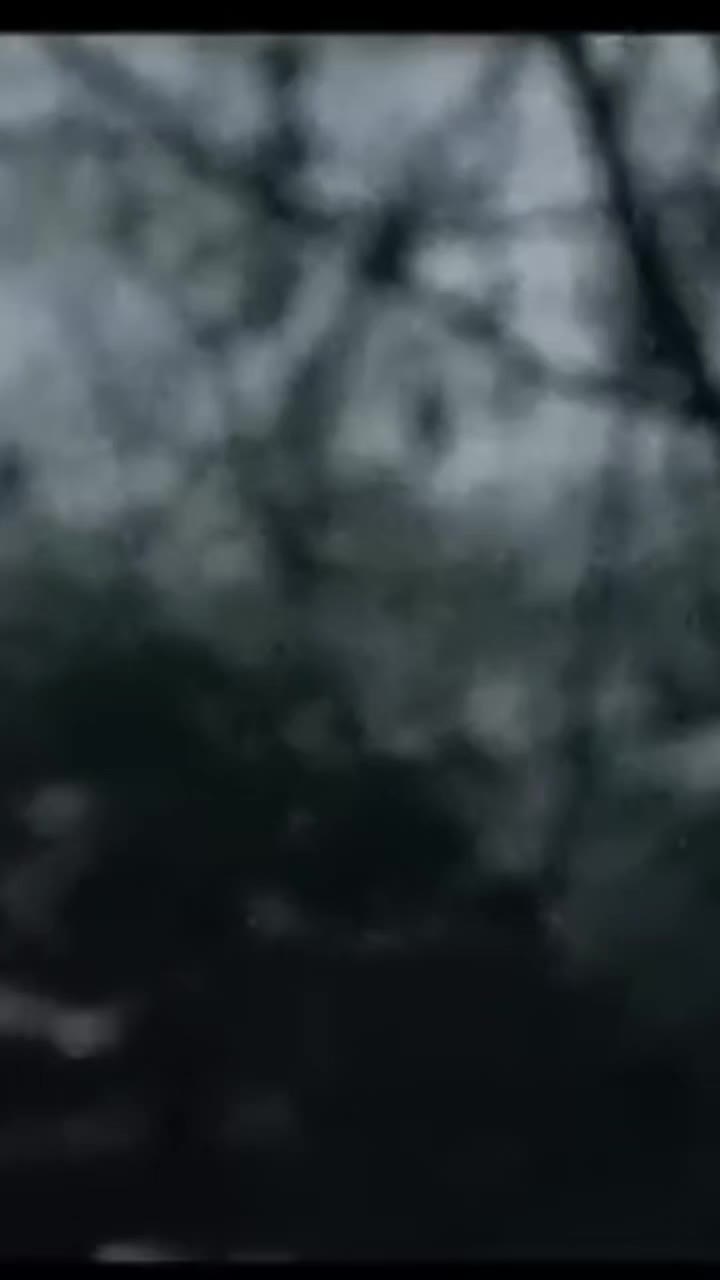 @Rdz_Erika