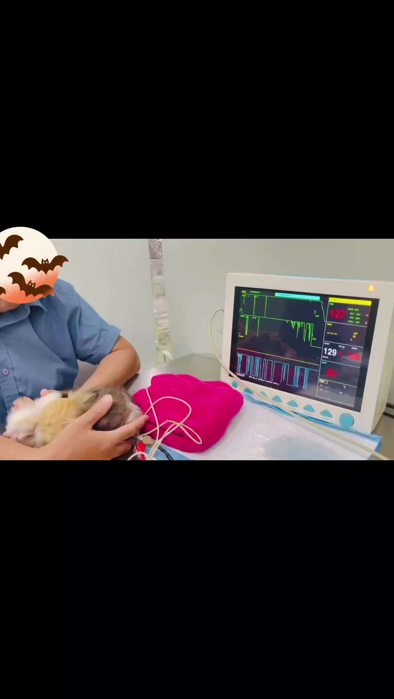 @Nh&agrave; B&eacute; Lolo