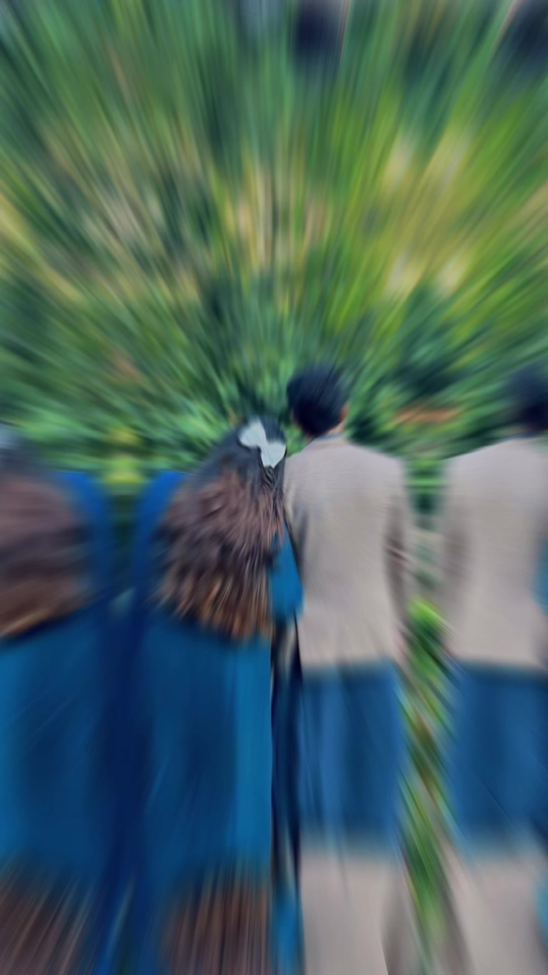 @ミ★ 𝘔.𝘌𝘥𝘪𝘵 ★彡