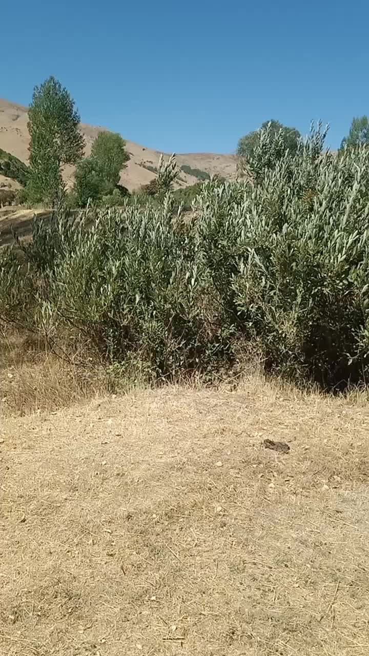 @EMİR ATAŞ 13/33