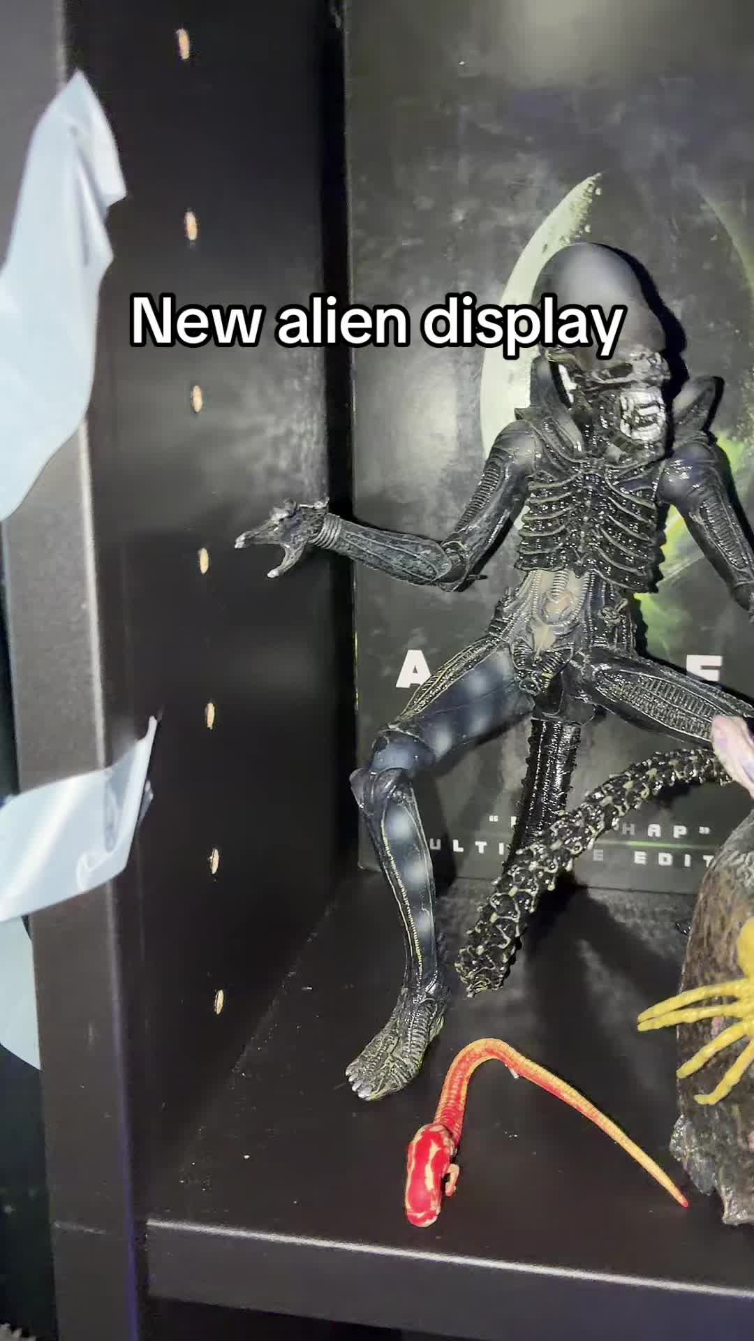 @🦖🕷️🇺🇸AcidX✝️🕸️🦎
