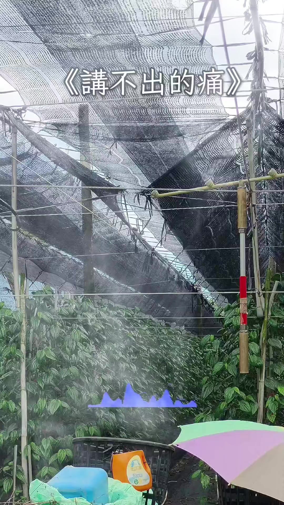 @曾國華(牛奶)