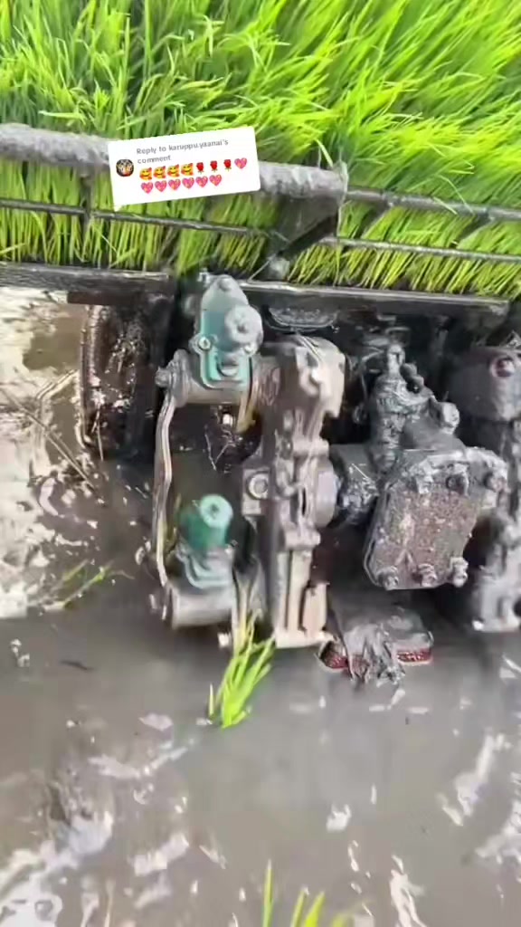 @பேப்பர் ஐடி    248 🌹1