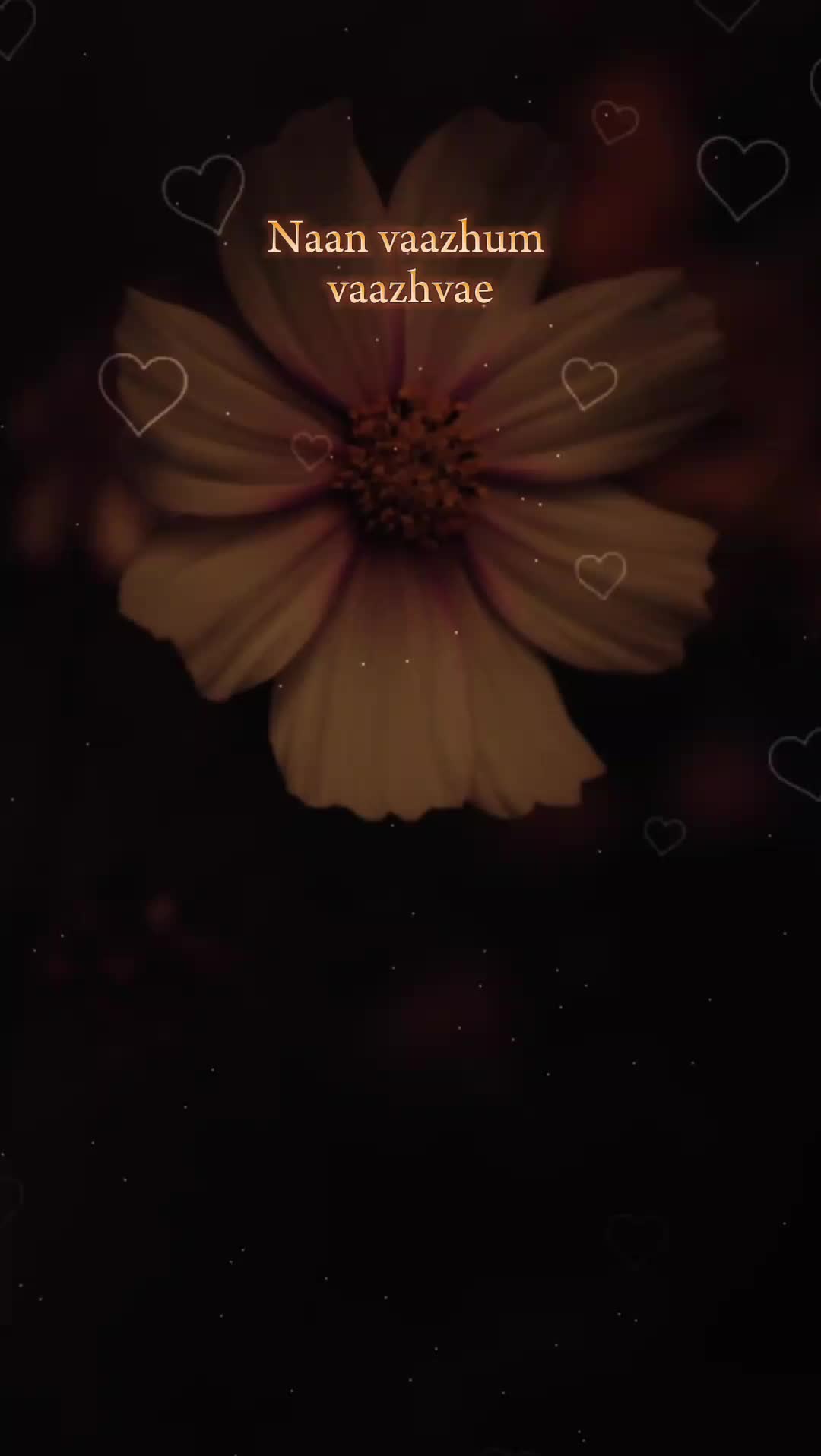 @AisyaRahman🌹