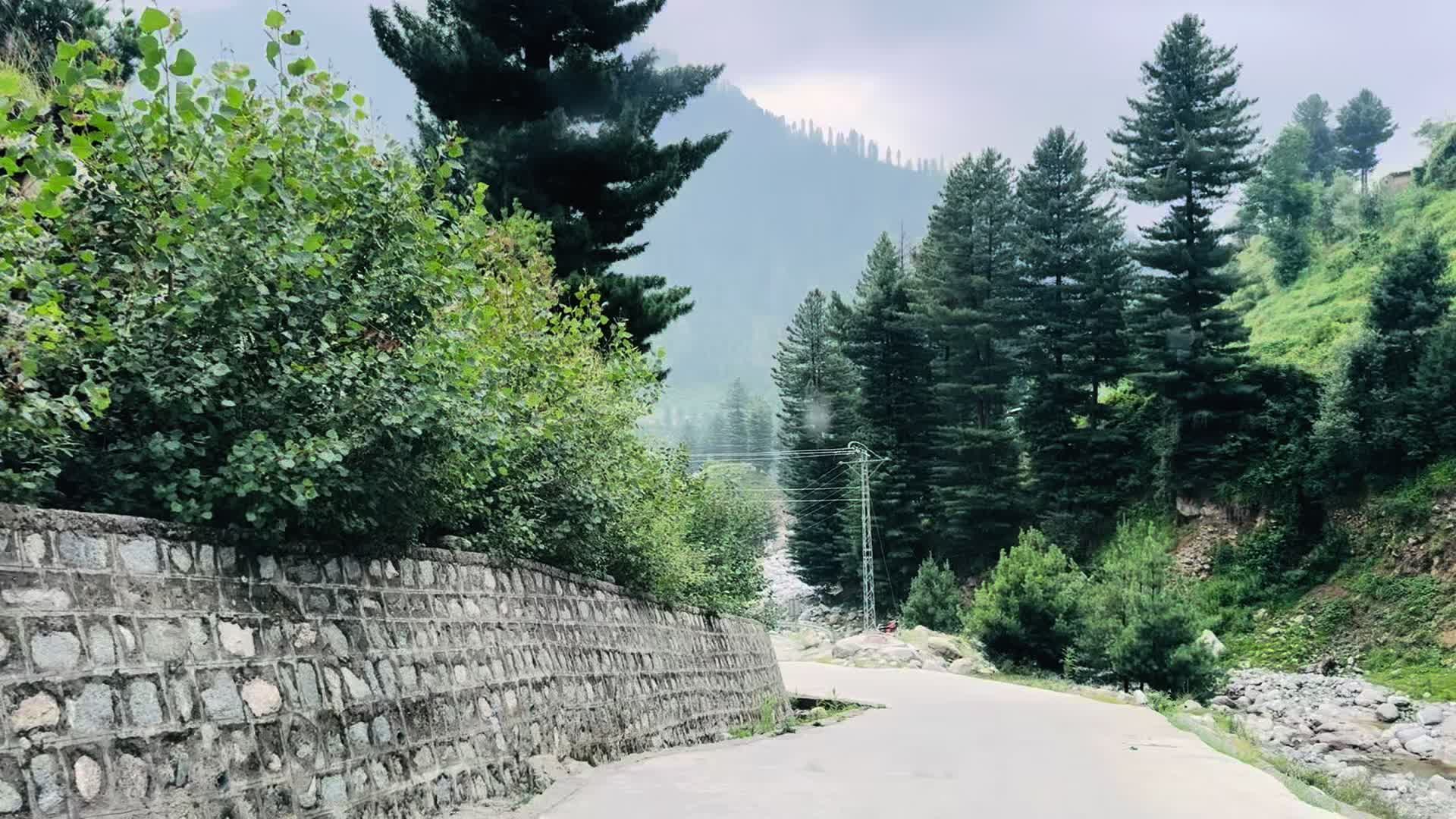 @Imtiaz Saifullah