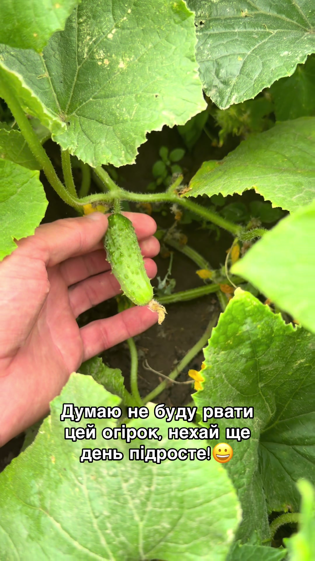 @Volynblog | Луцьк | Ковель