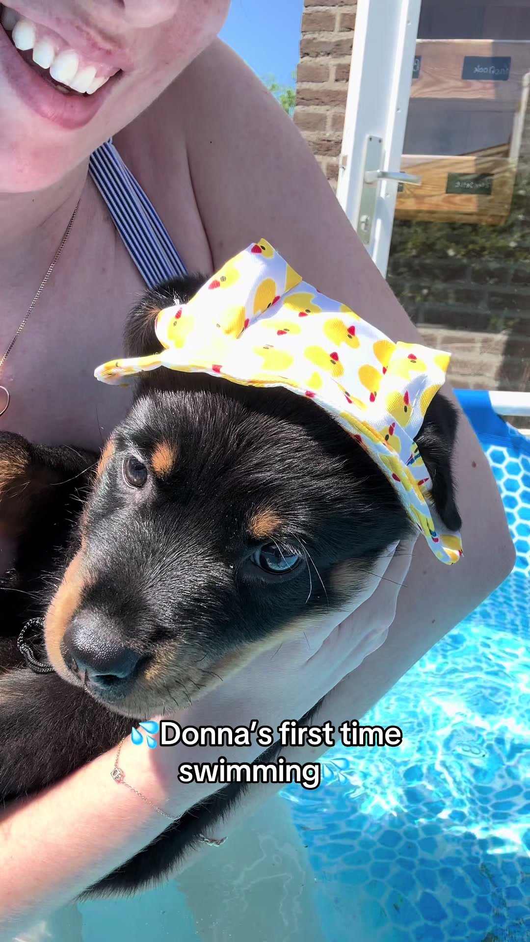 @🐾💙Dyce & Donna🩷🐾