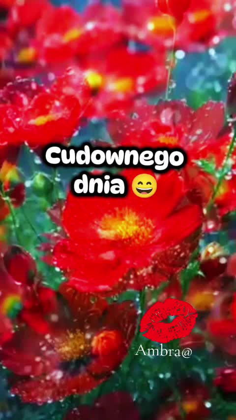 @Ambra@