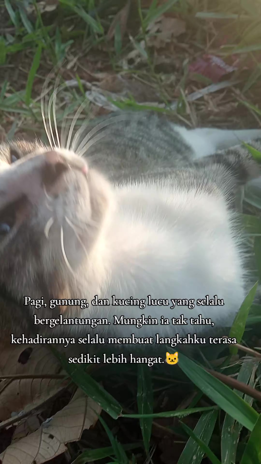 @Lina herlina