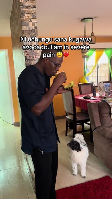 @Al4nse