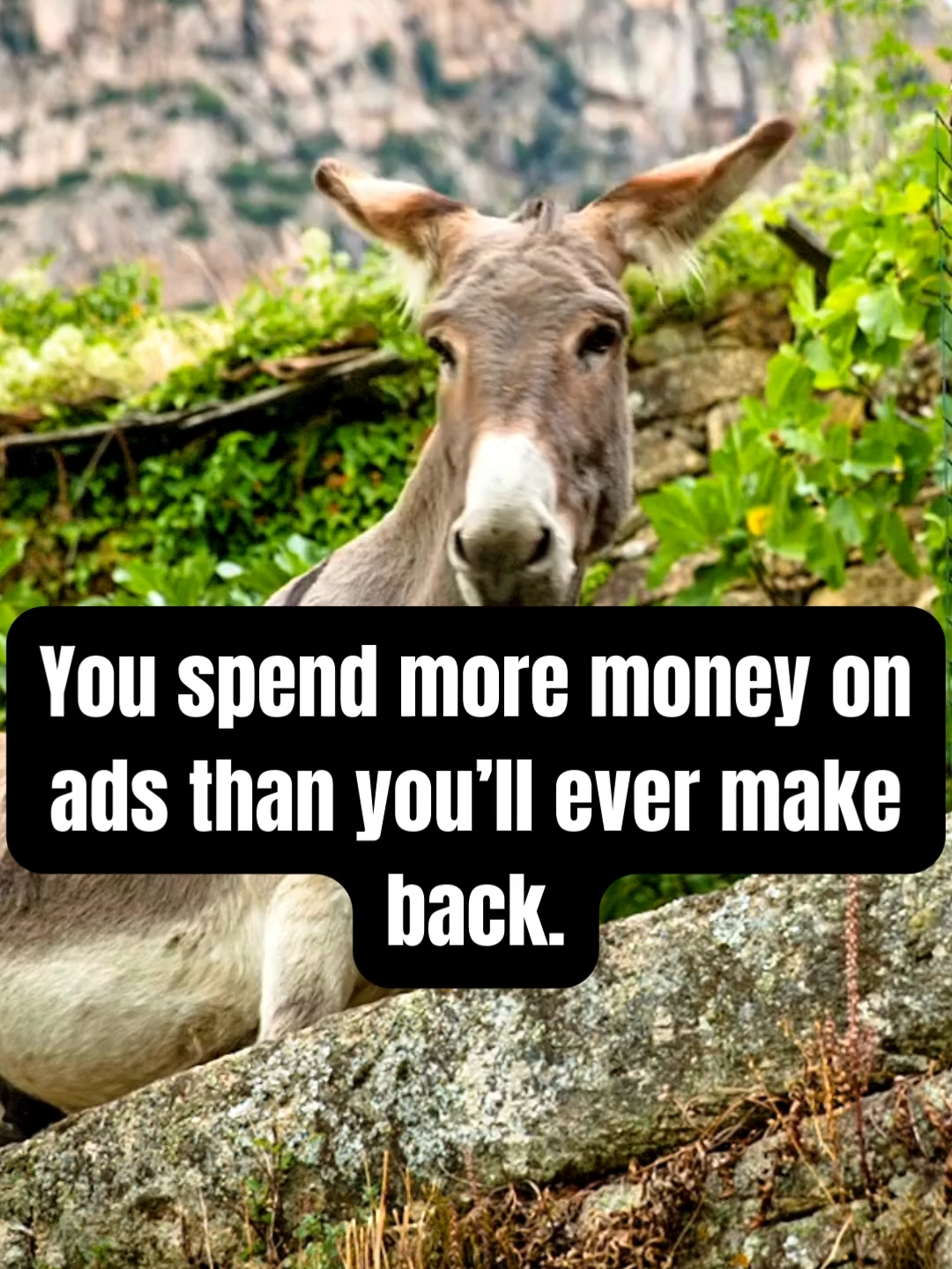 @Digital Marketing Pros ✨