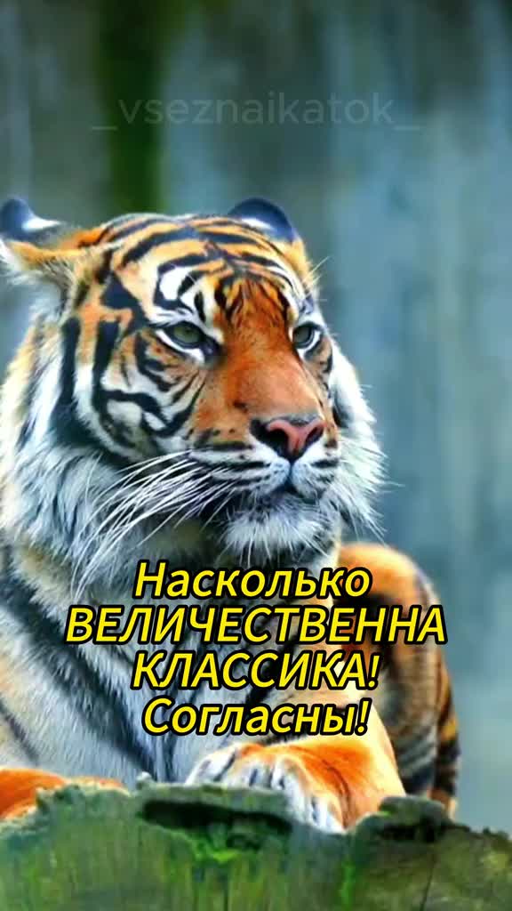 @🧐Тест_о_ Знание🤔