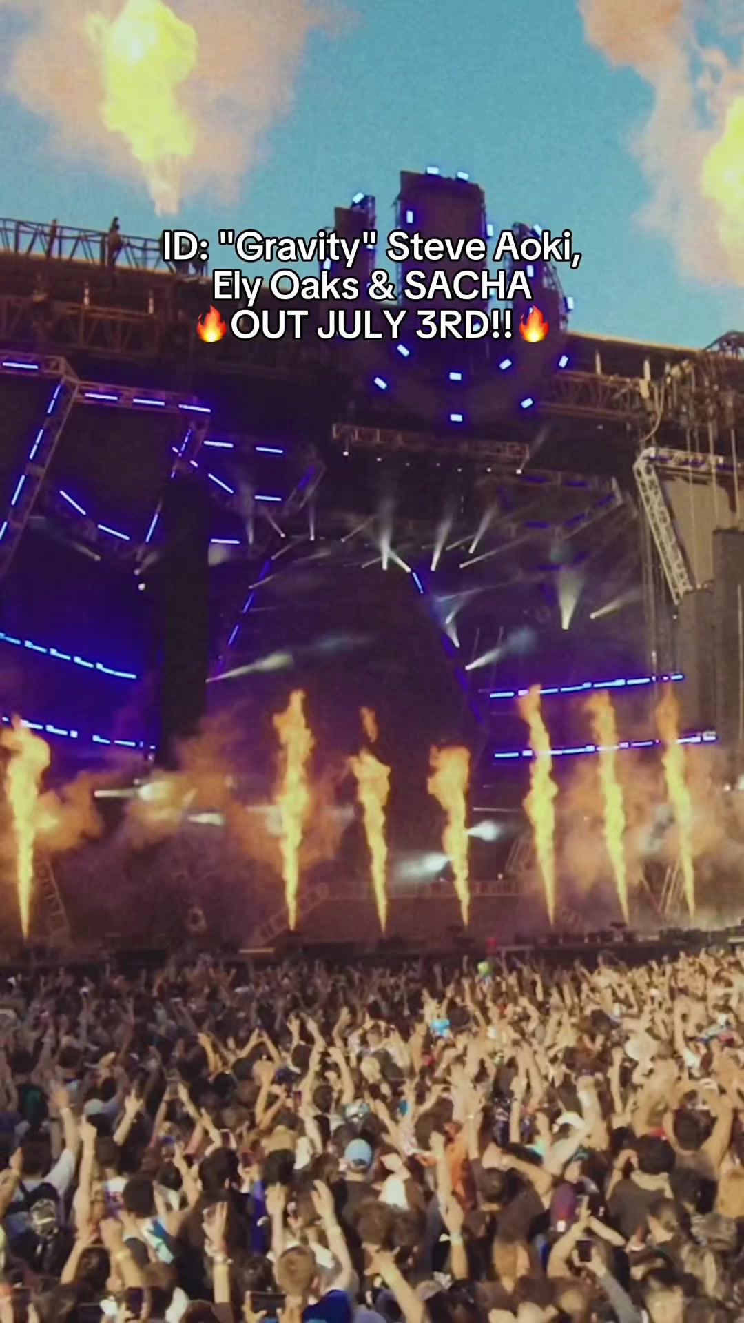 @Steve Aoki