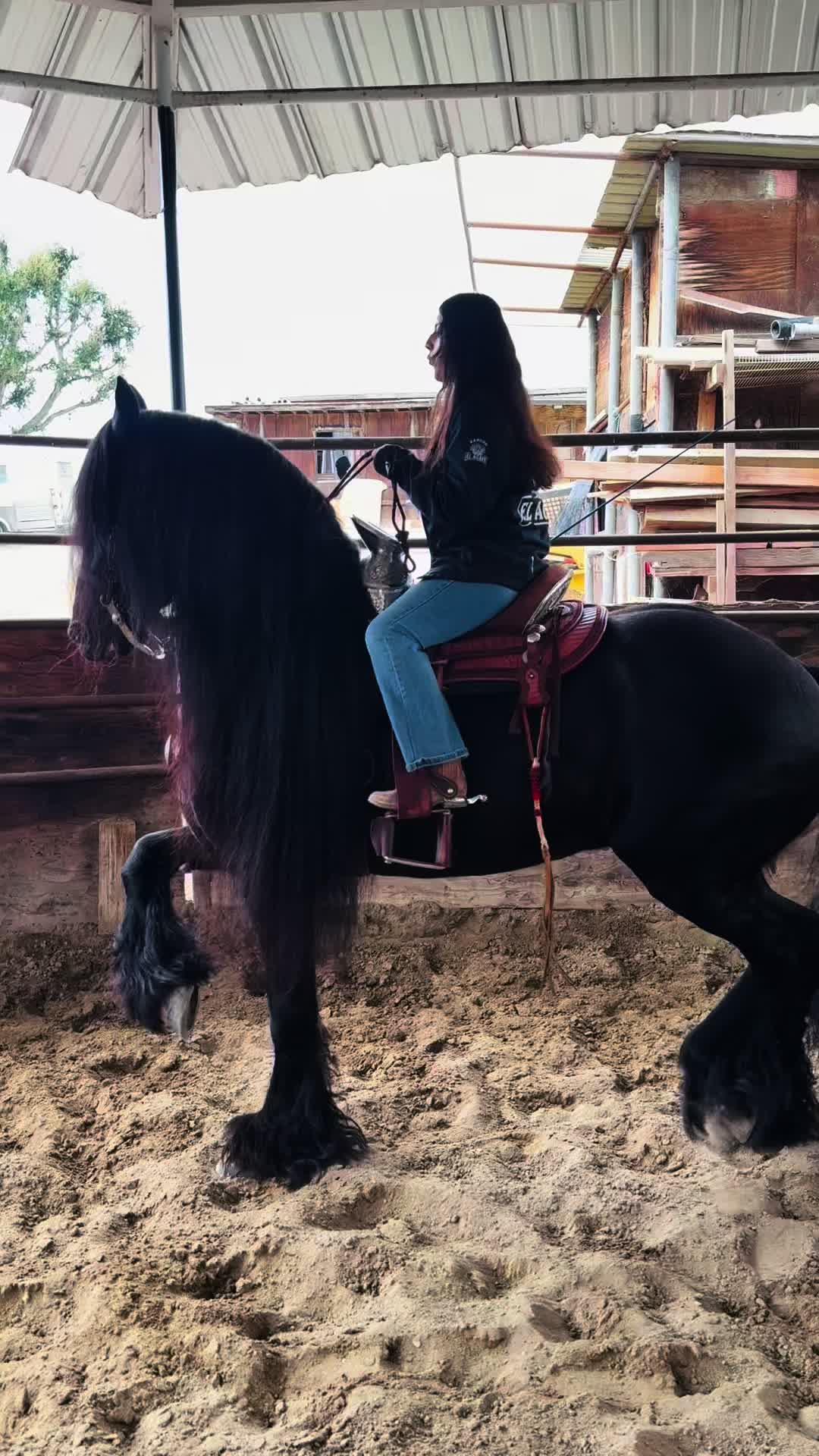 @anissadeacaballo