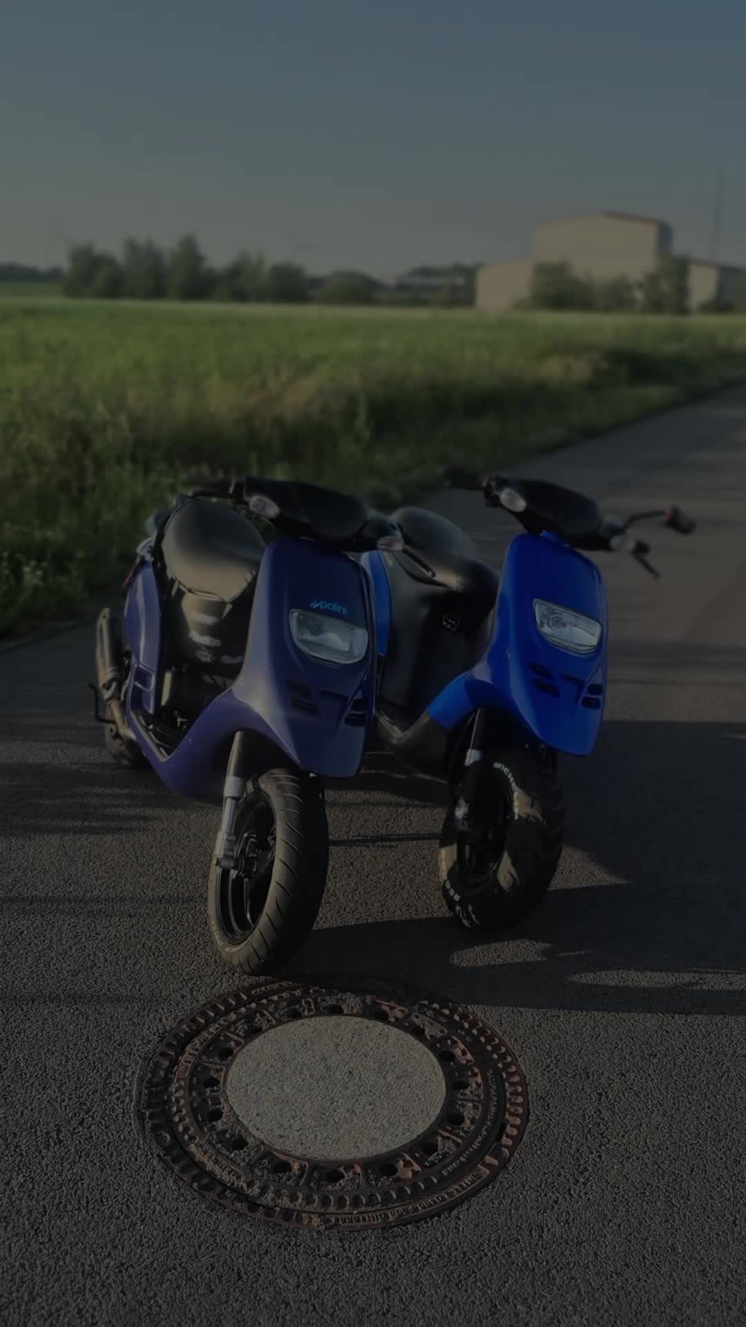 @MarcoOnMaxi🥝