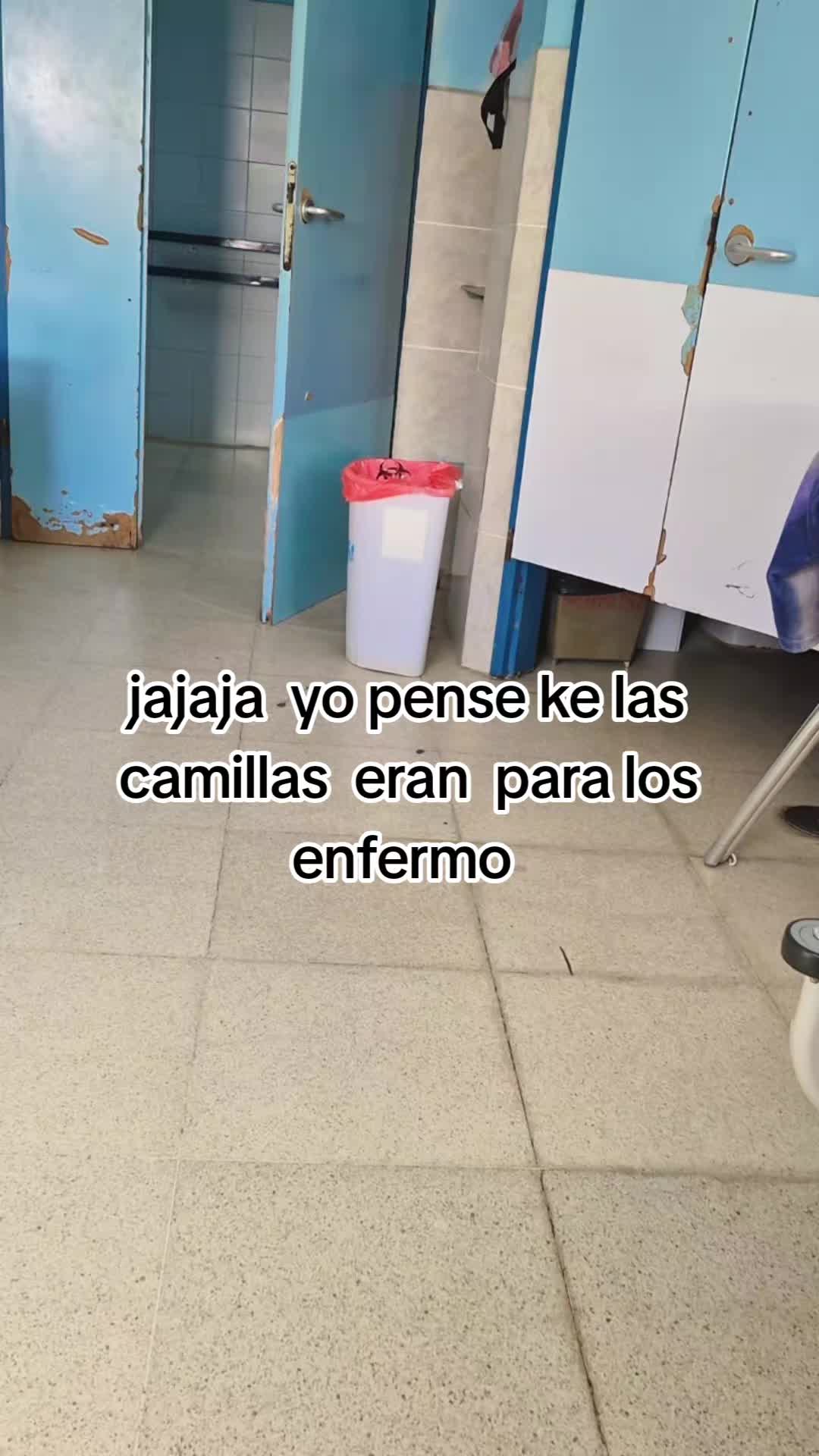 @el ave fénix