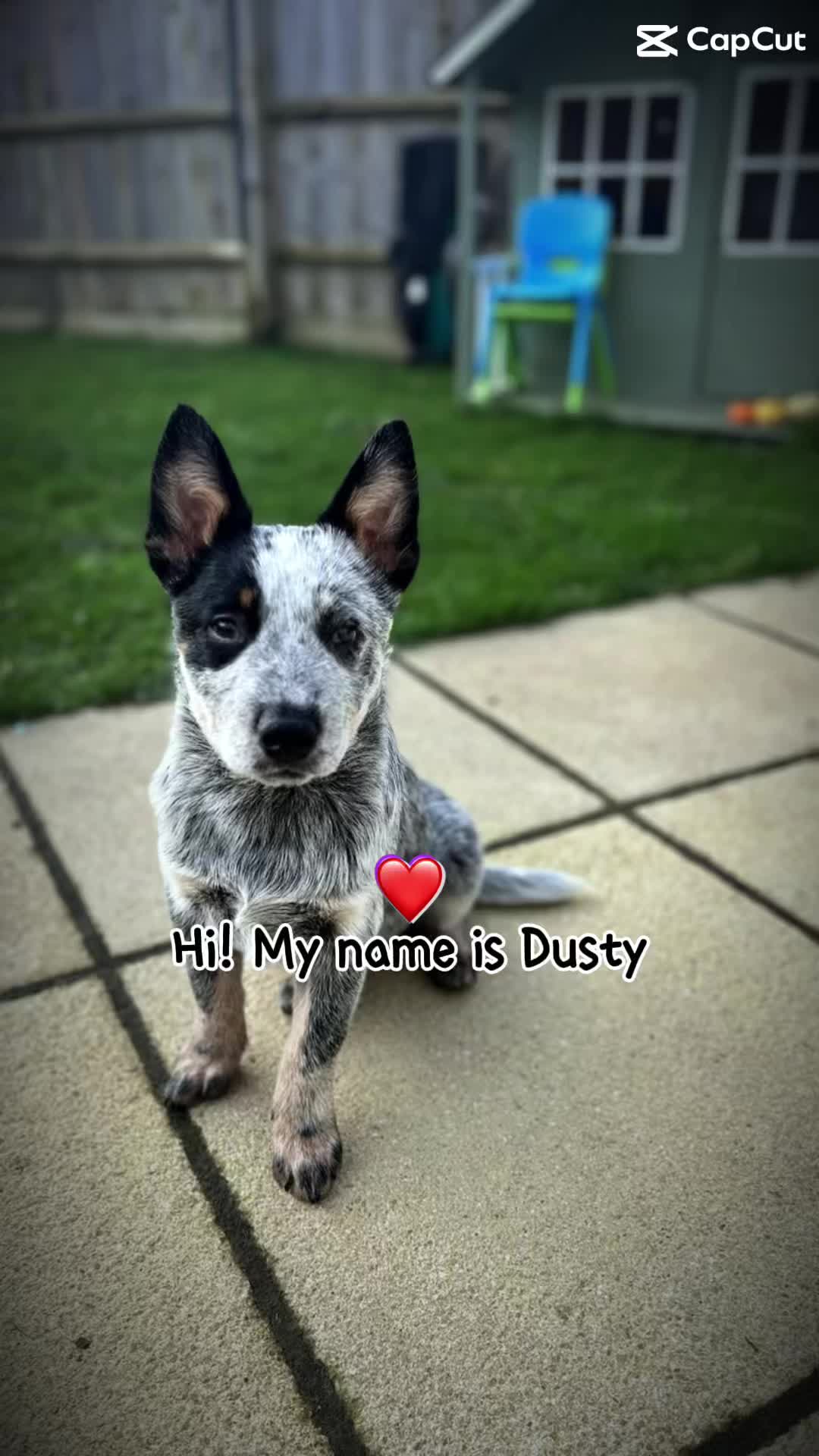 @TheDusty&JesseDiaries