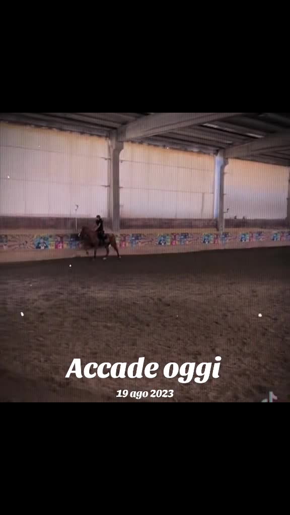 @Desy🐴
