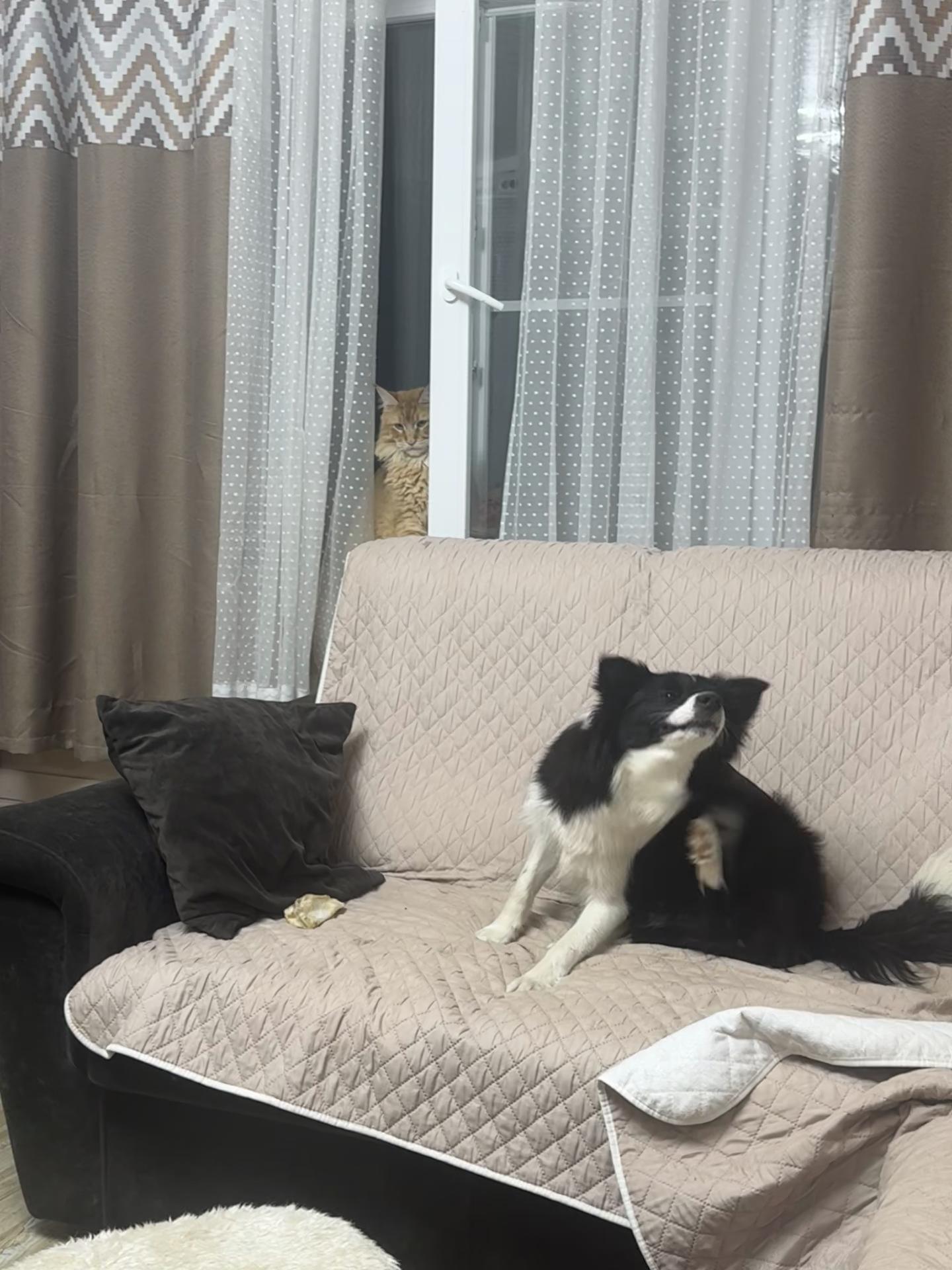 @Юрий 777777