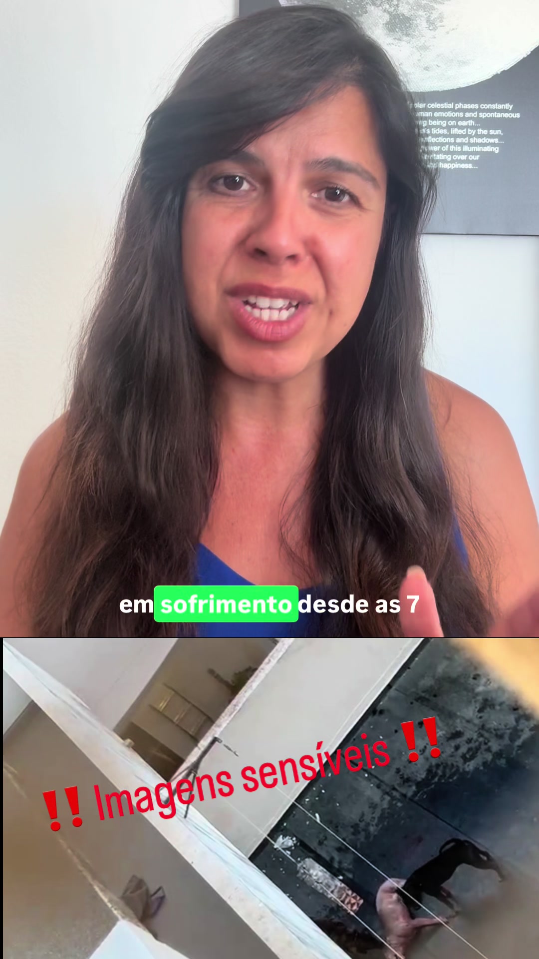@Inês Sousa Real