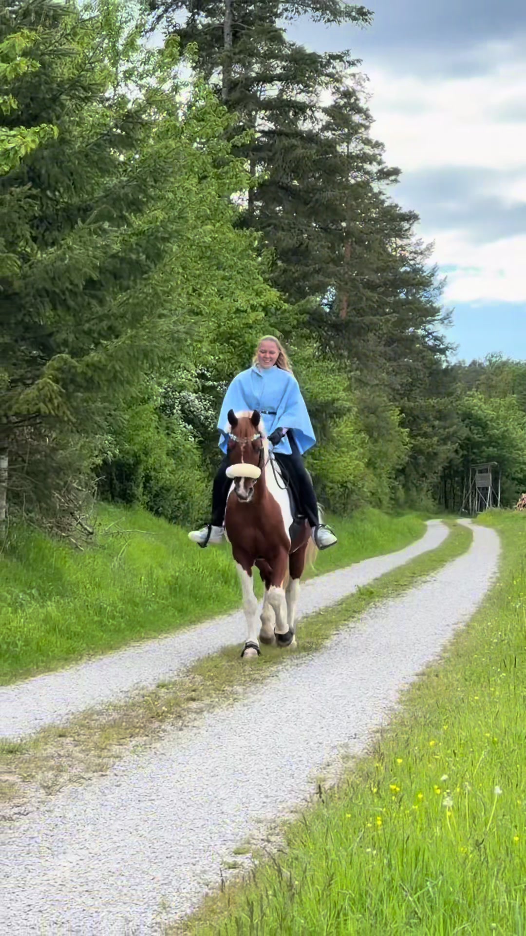@Letynnxhorses
