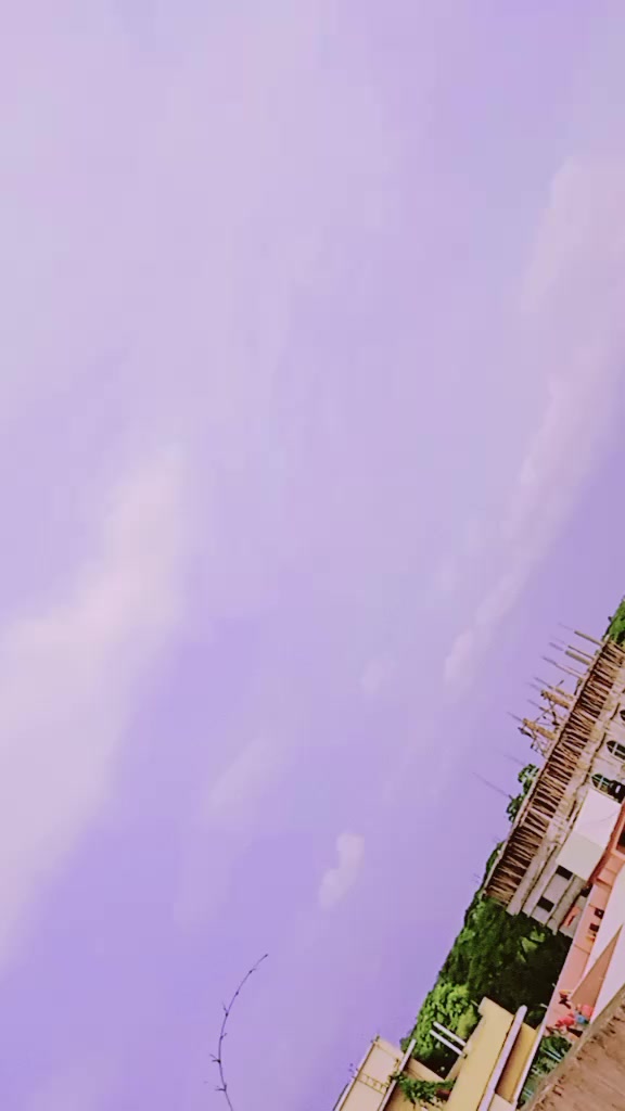 @🦋🌺প্রজাপতি🌺🦋