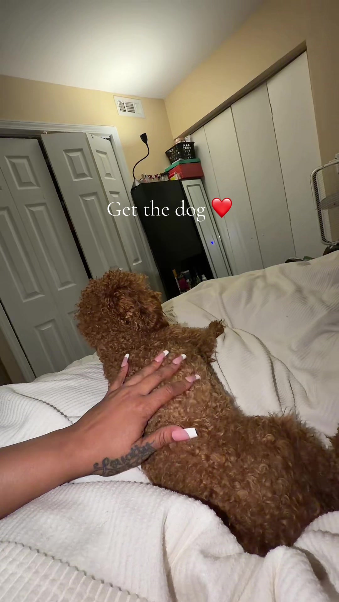 @navadia _