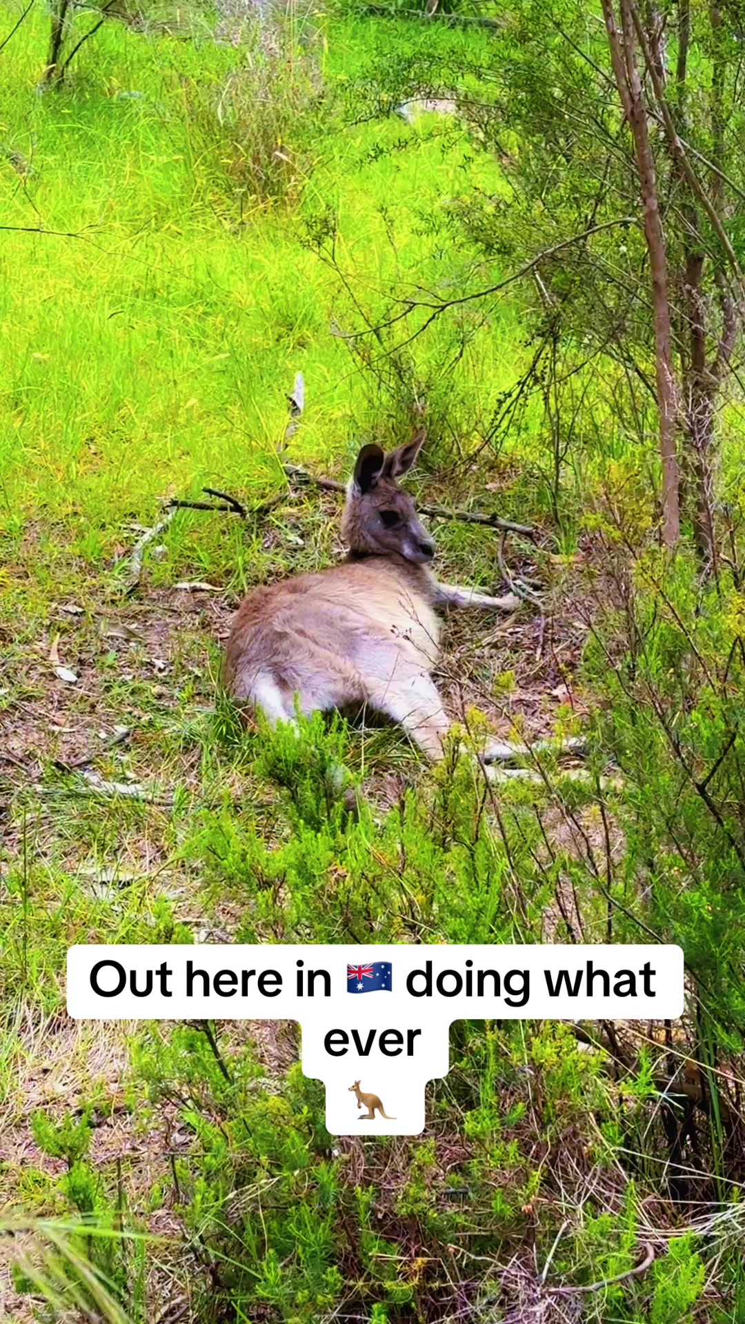 @whatrmr