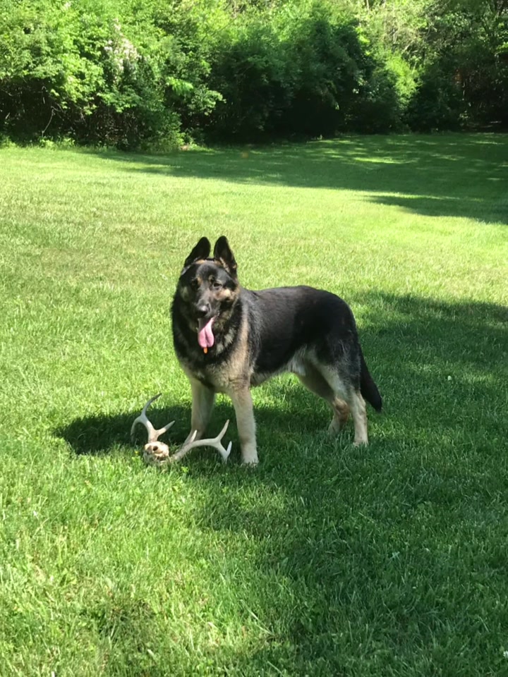 @MERCURY_GSD_24_7