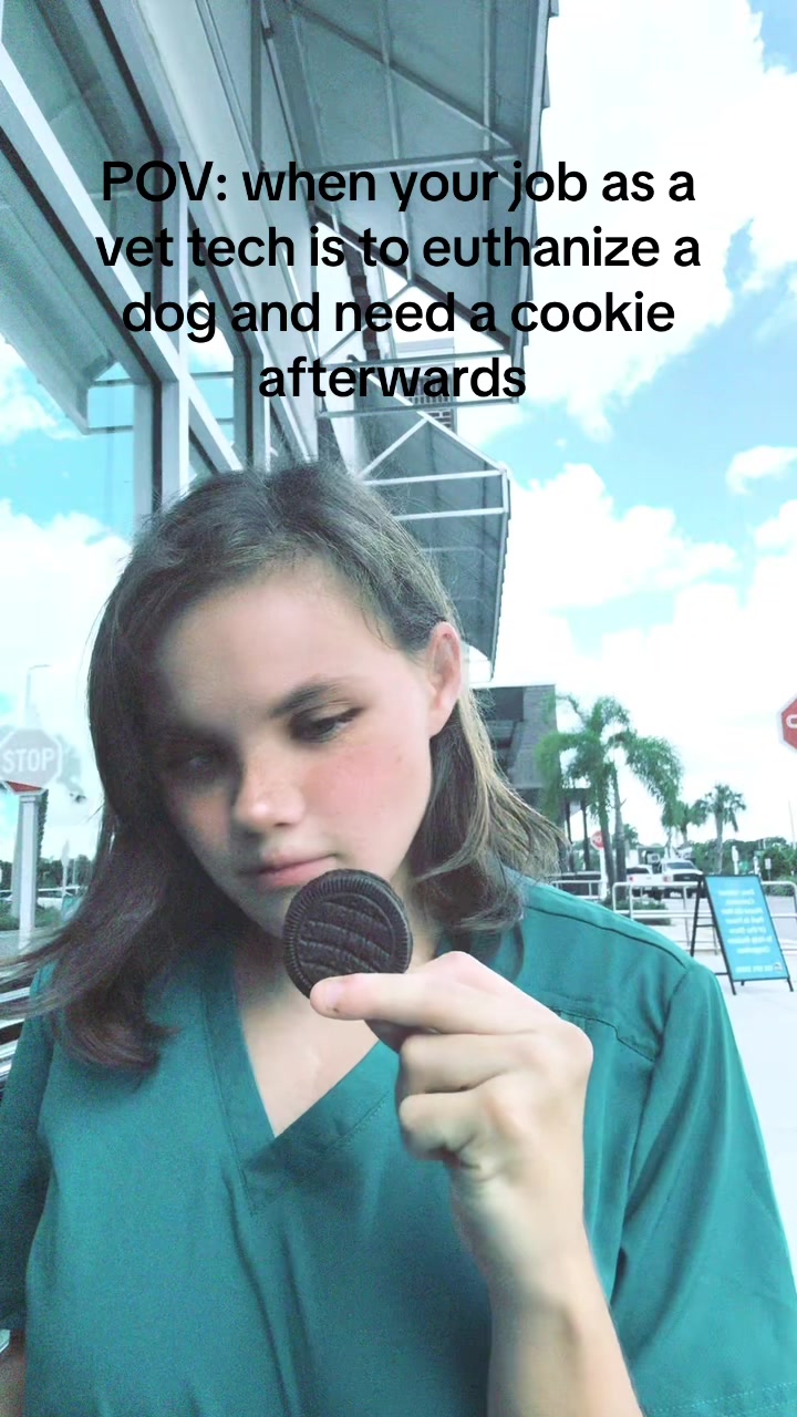 @Mini Muffin