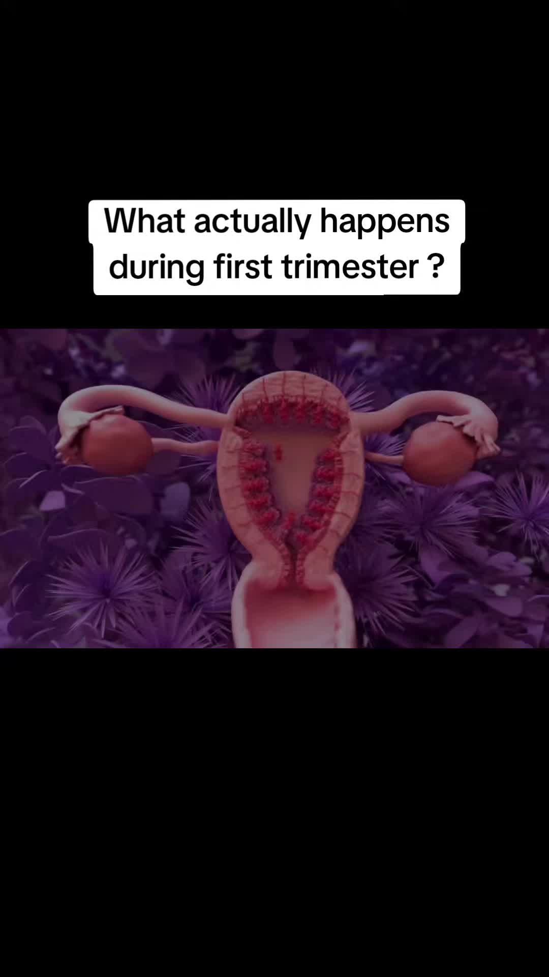 @smartdoctor