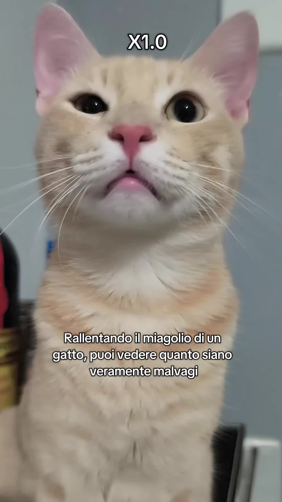 @Nina