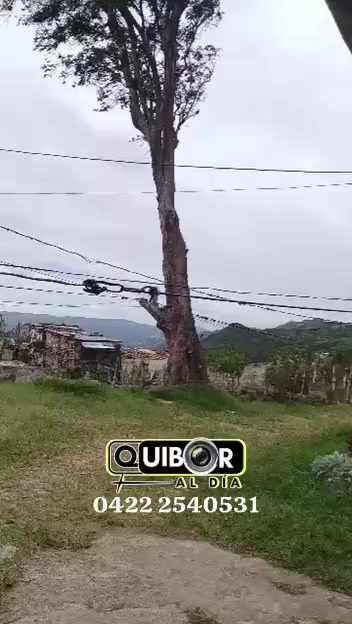@Quiboraldia