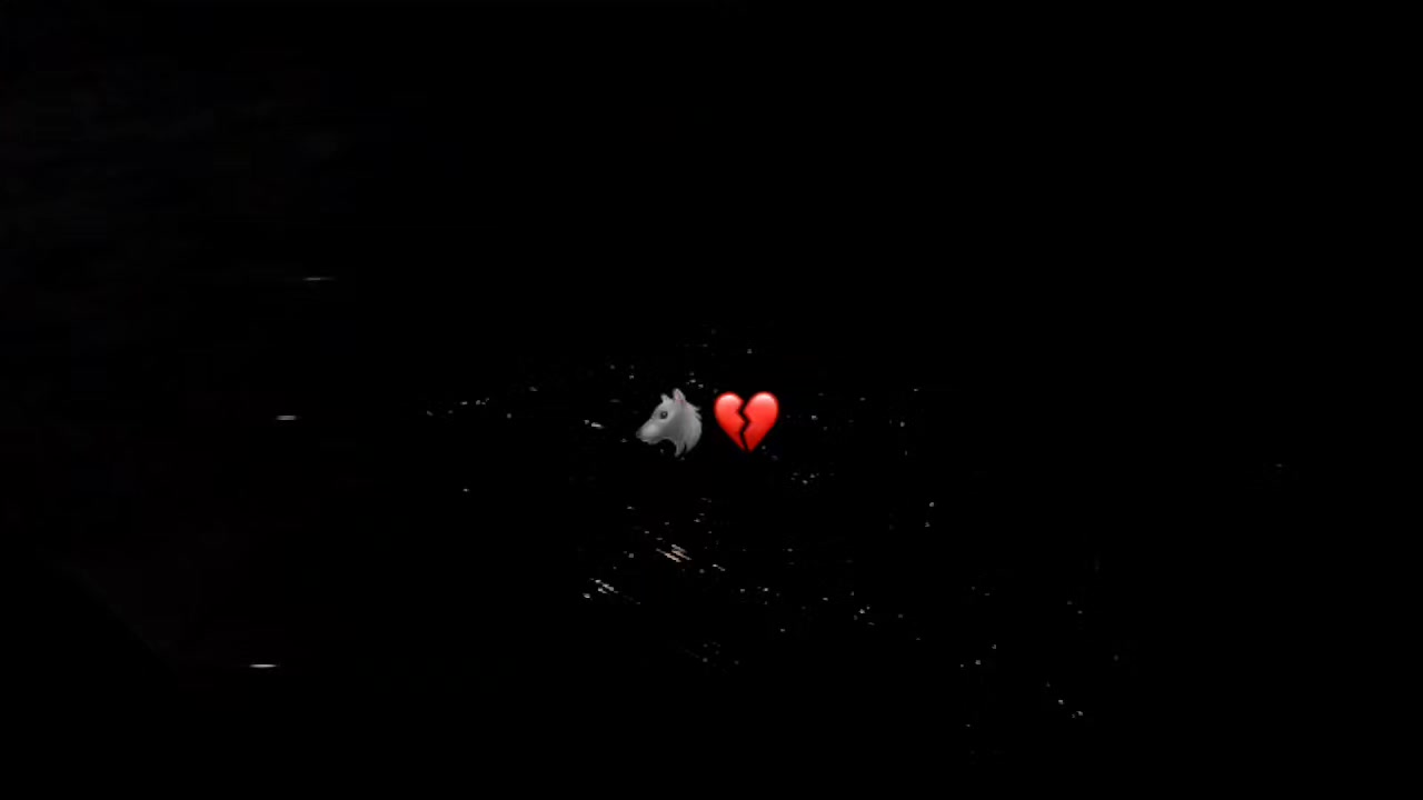 @𝑩𝒐𝒃𝒂🦁🇫🇷❤