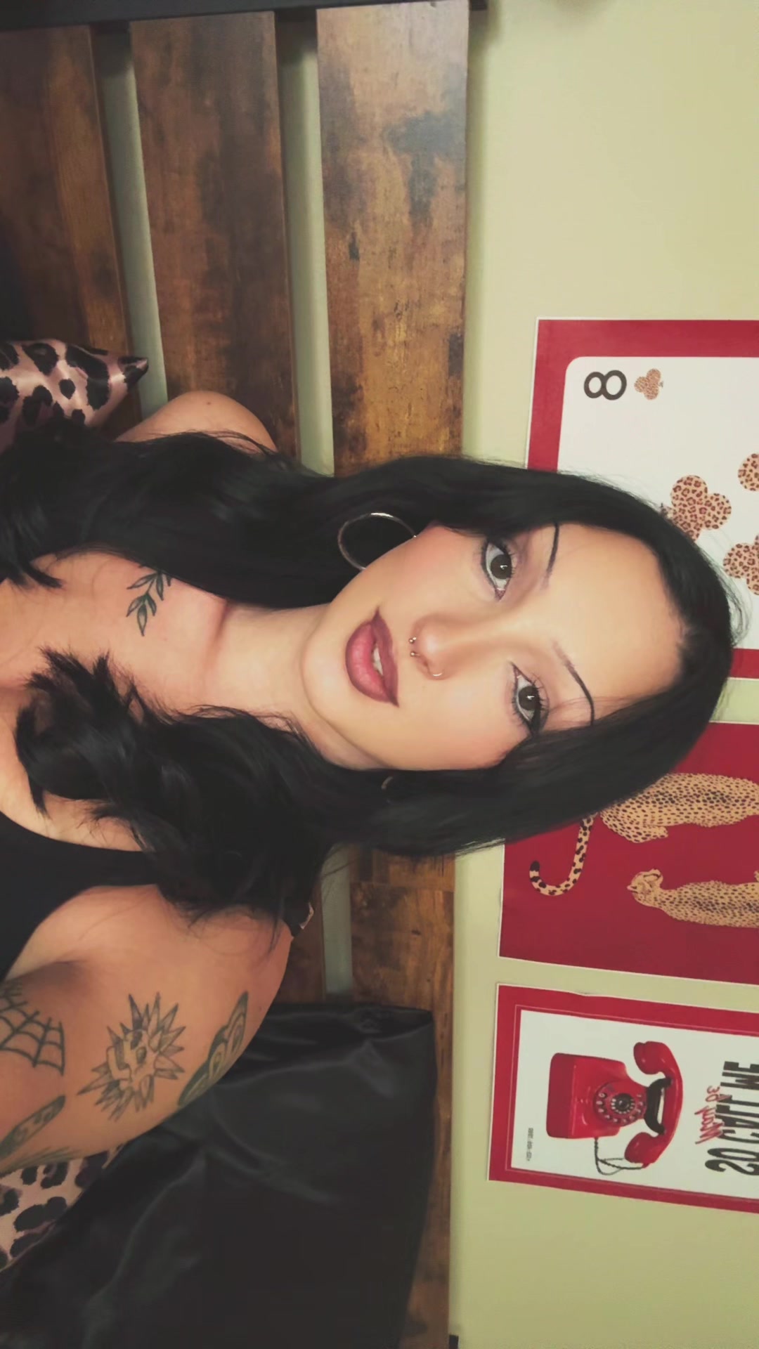 @🍒🎲🐆