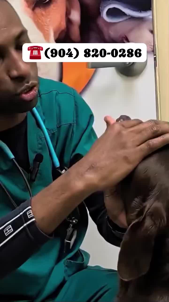 @Notijax
