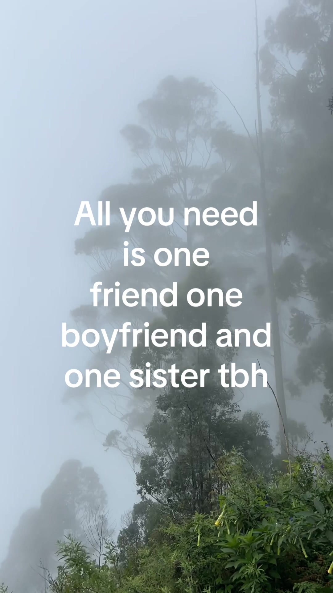 @Yuri