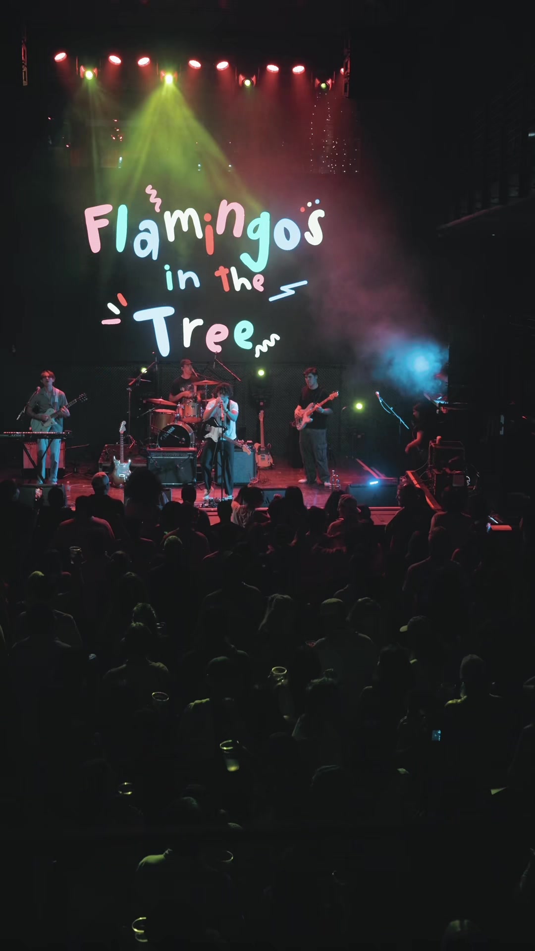 @Flamingos in the Tree