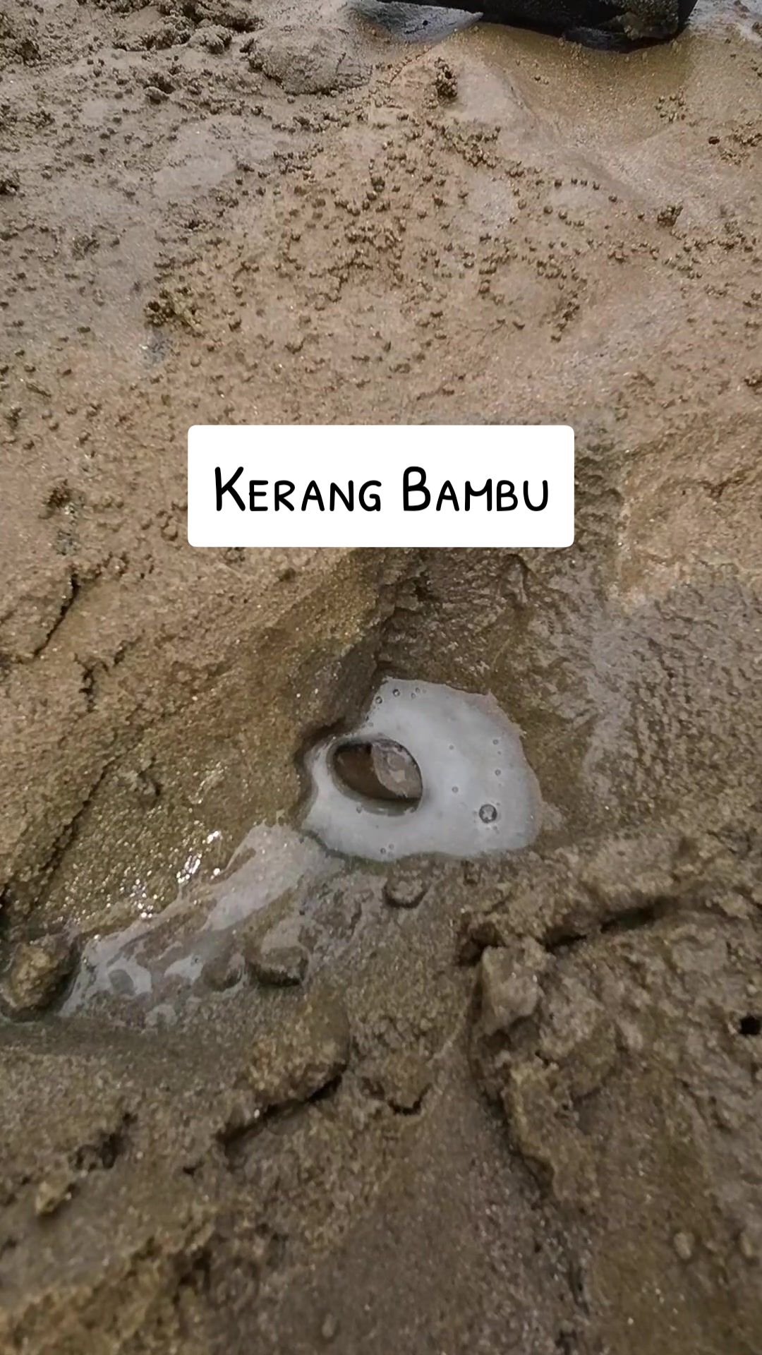 @Mamah Nada