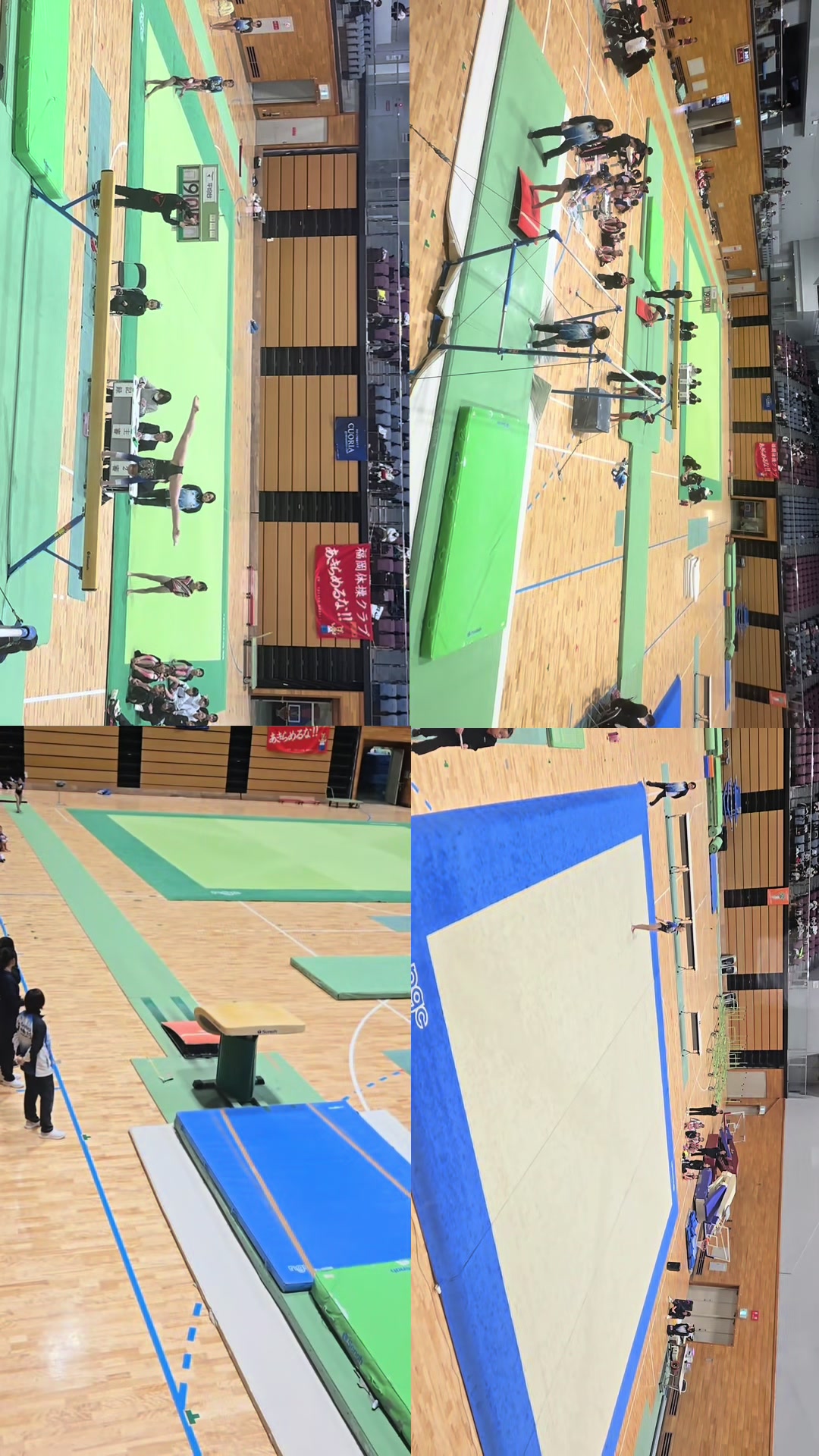 @ami_ gymnastics