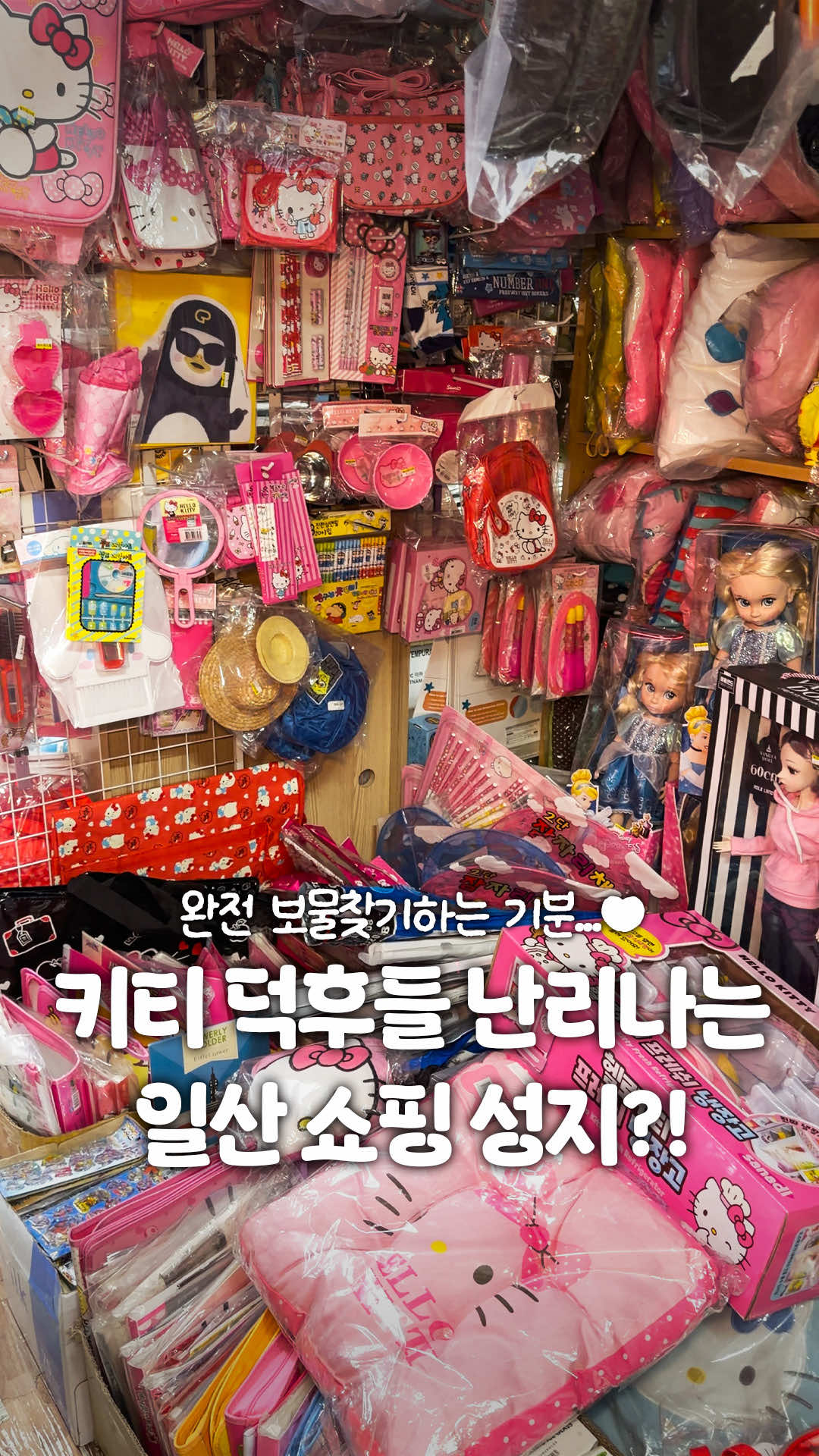 @일산갈고양