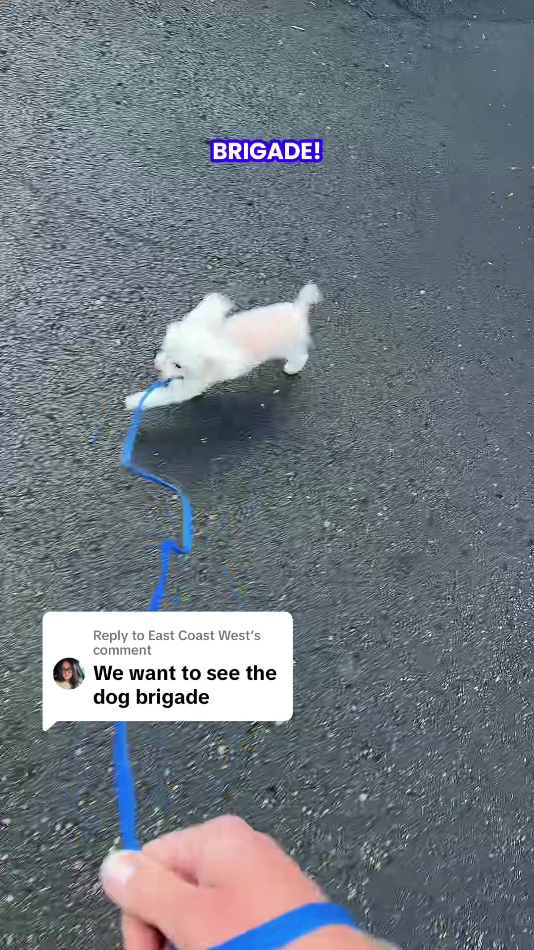 @TimmyyB