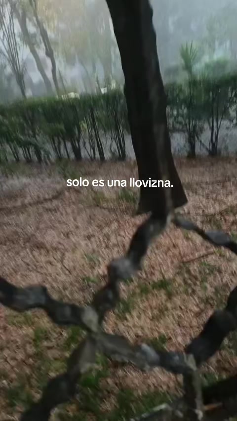 @Ivonne Trahyn