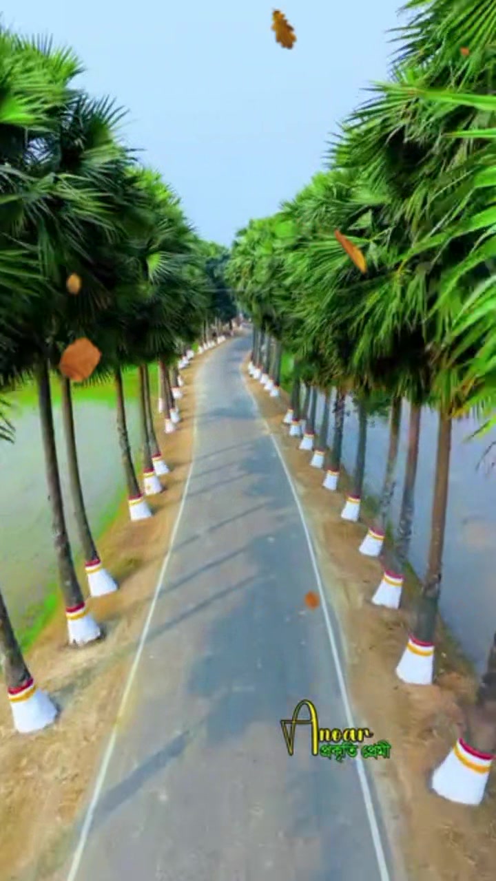 @Sobuj Chowdhory🇧🇩🇧🇷🇸🇦