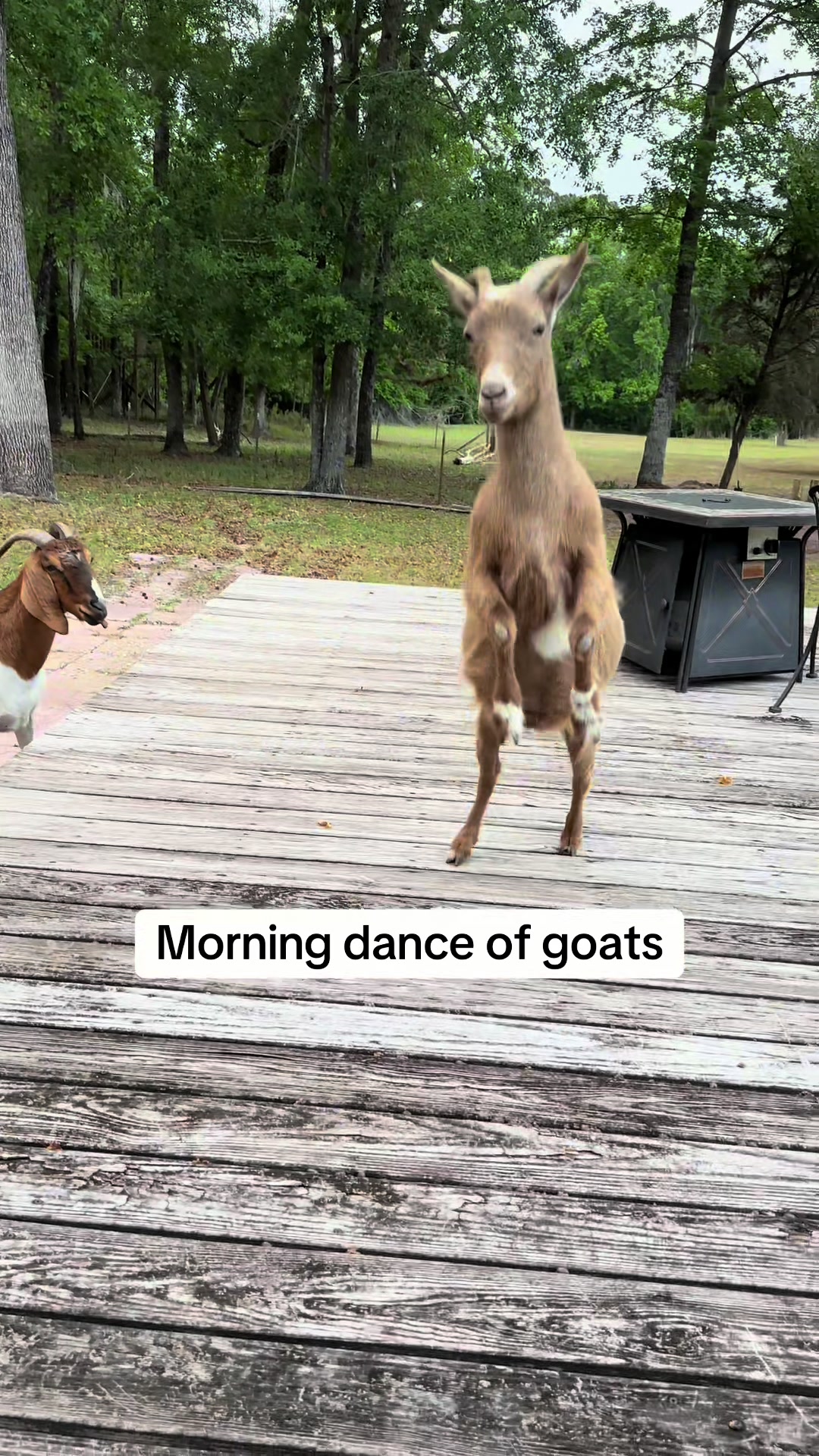 @CrenshawFarms