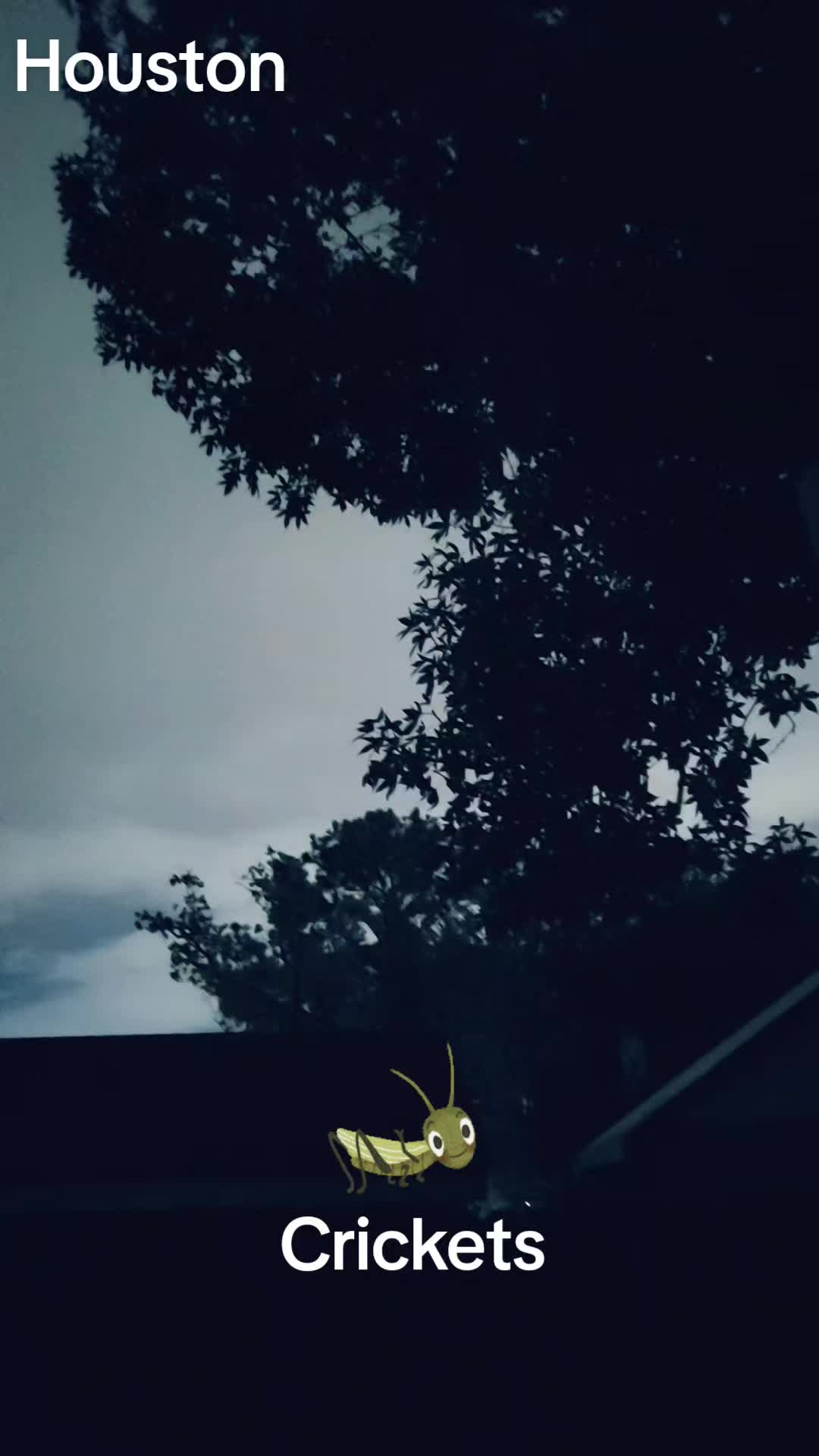 @CynBx
