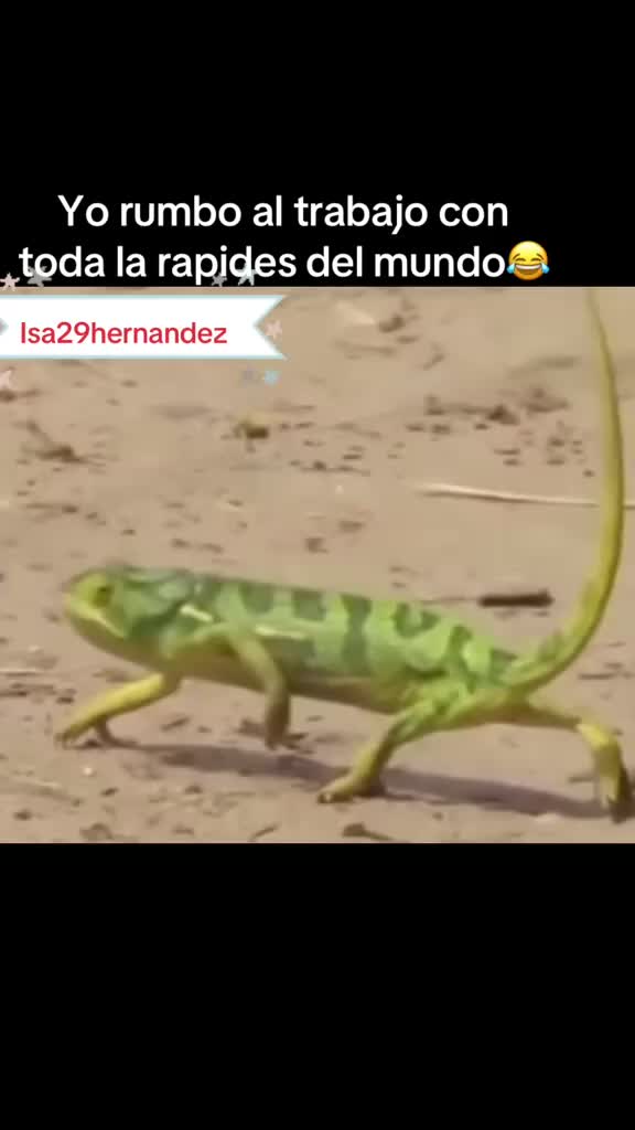 @Isa29Hernandez