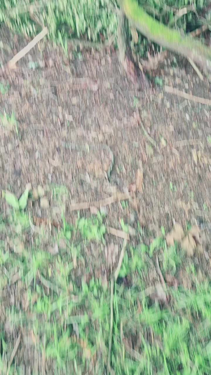 @jennergcboi