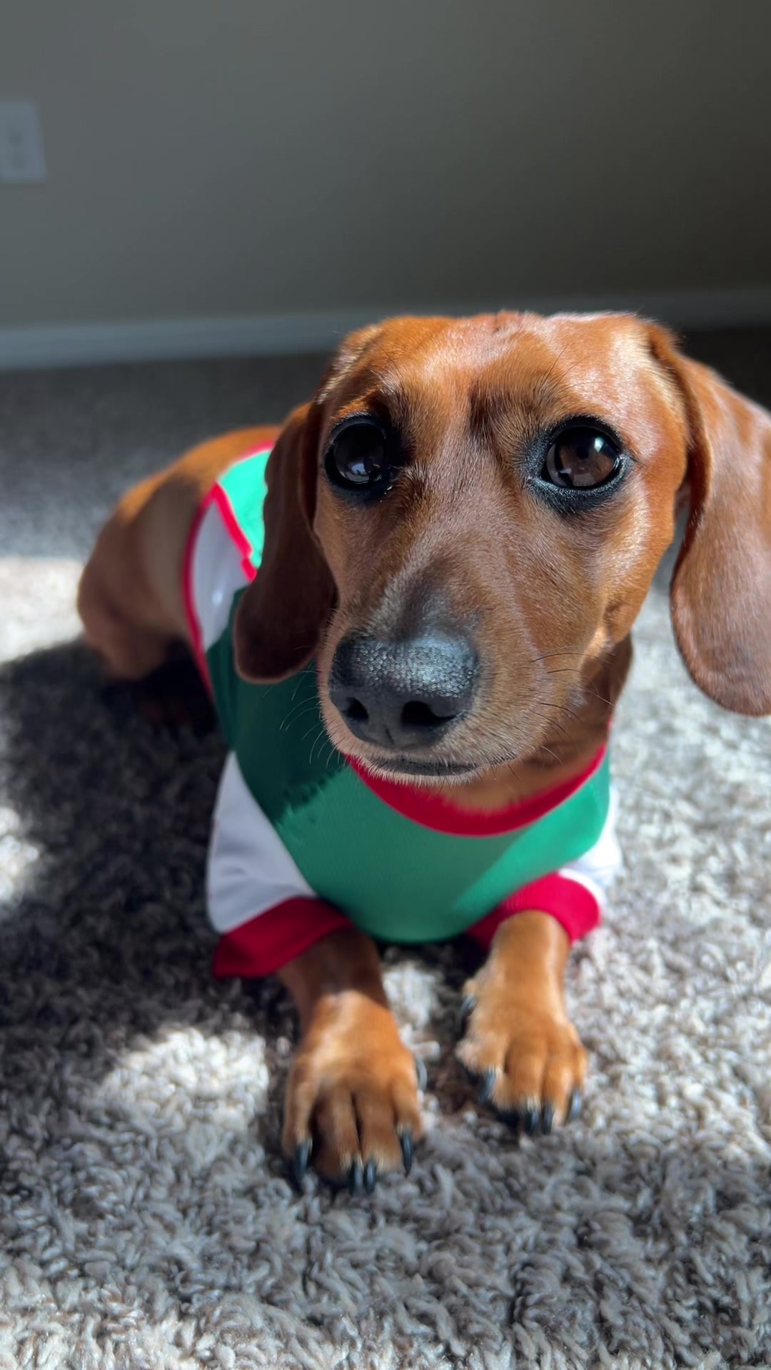 @Slinky Severus-Doo